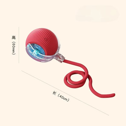 Interactive Cat Rolling Ball Toy